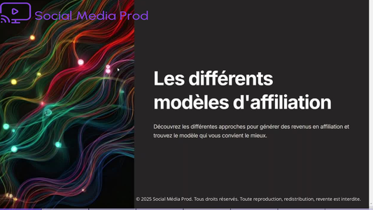 Module 3: The different Affiliation models
